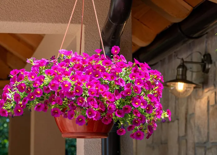 Matea By Interhome * Dobrinj